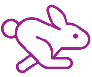 Icon showing a rabbit running