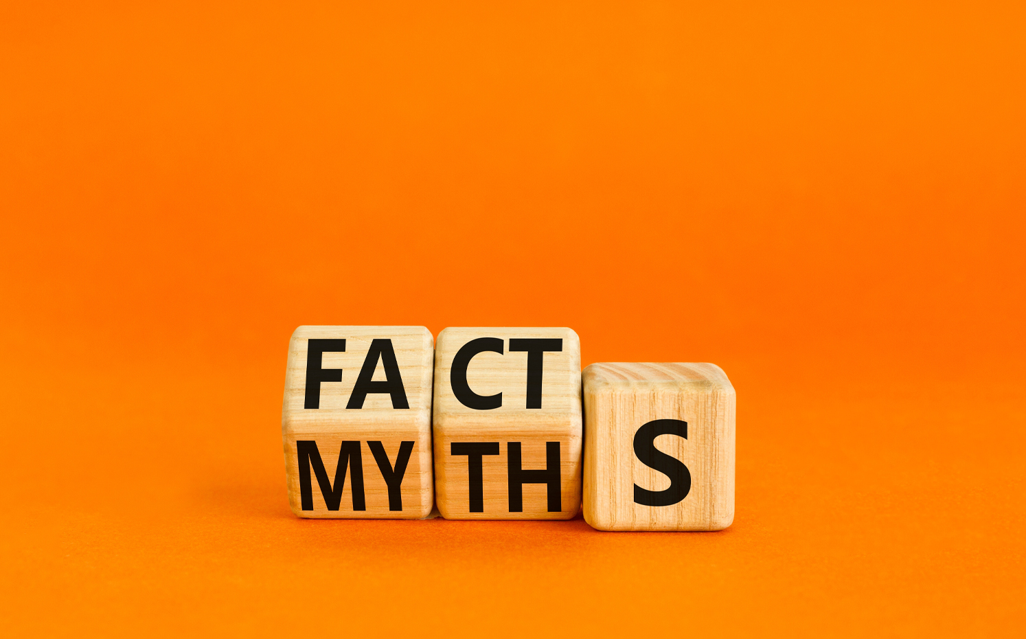 woden cubes saying facts and myths
