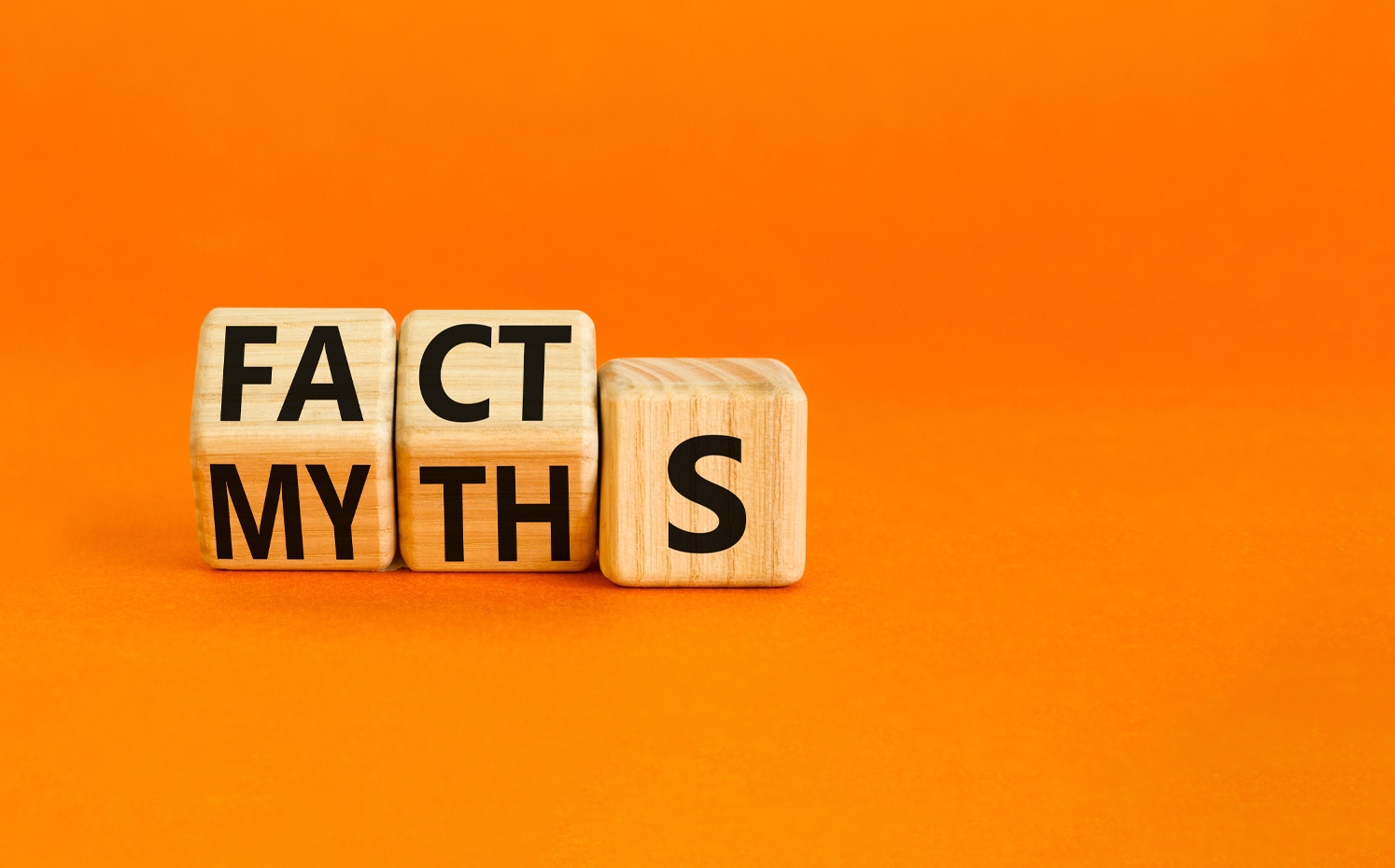 wooden cubes saying facts and myths