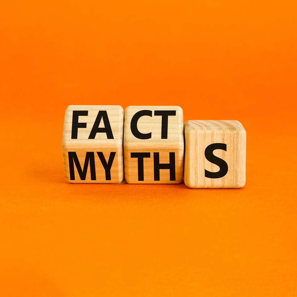 woden cubes saying facts and myths